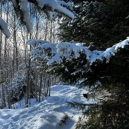 Апартаменты Kubo Tatry - Stary Smokovec