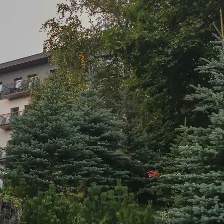 Kubo Tatry - Stary Smokovec *