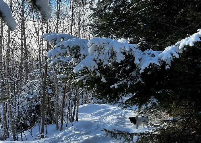 Apartment Kubo Tatry - Stary Smokovec